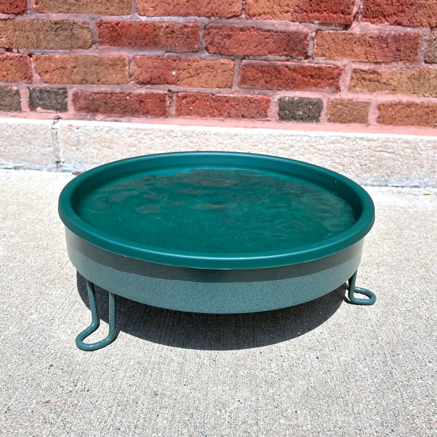 Ground Level Bird Bath