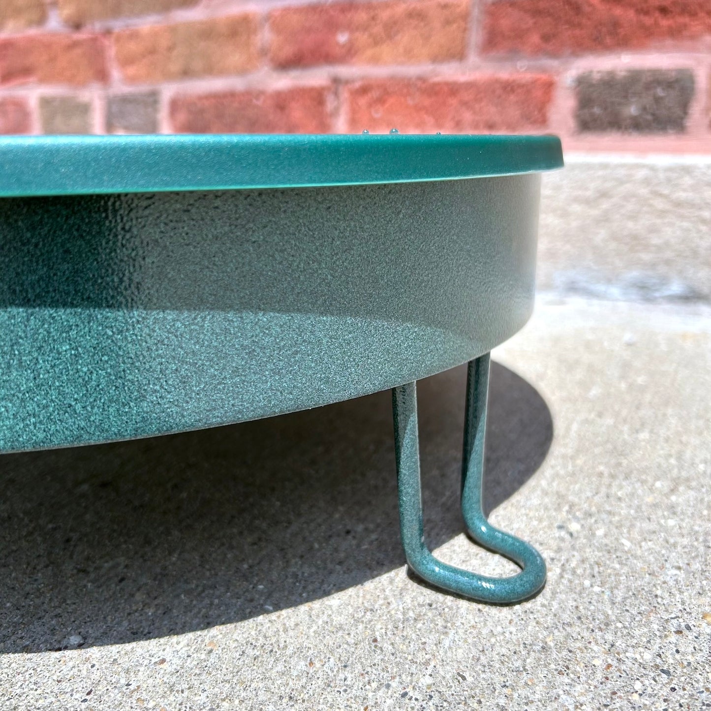 Ground Level Bird Bath