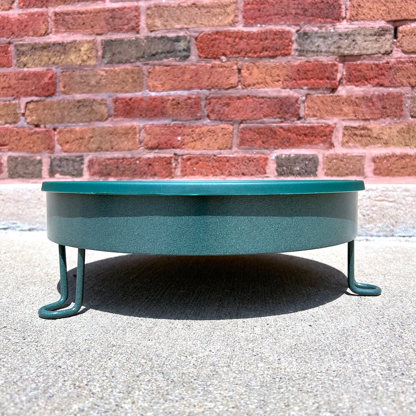 Ground Level Bird Bath