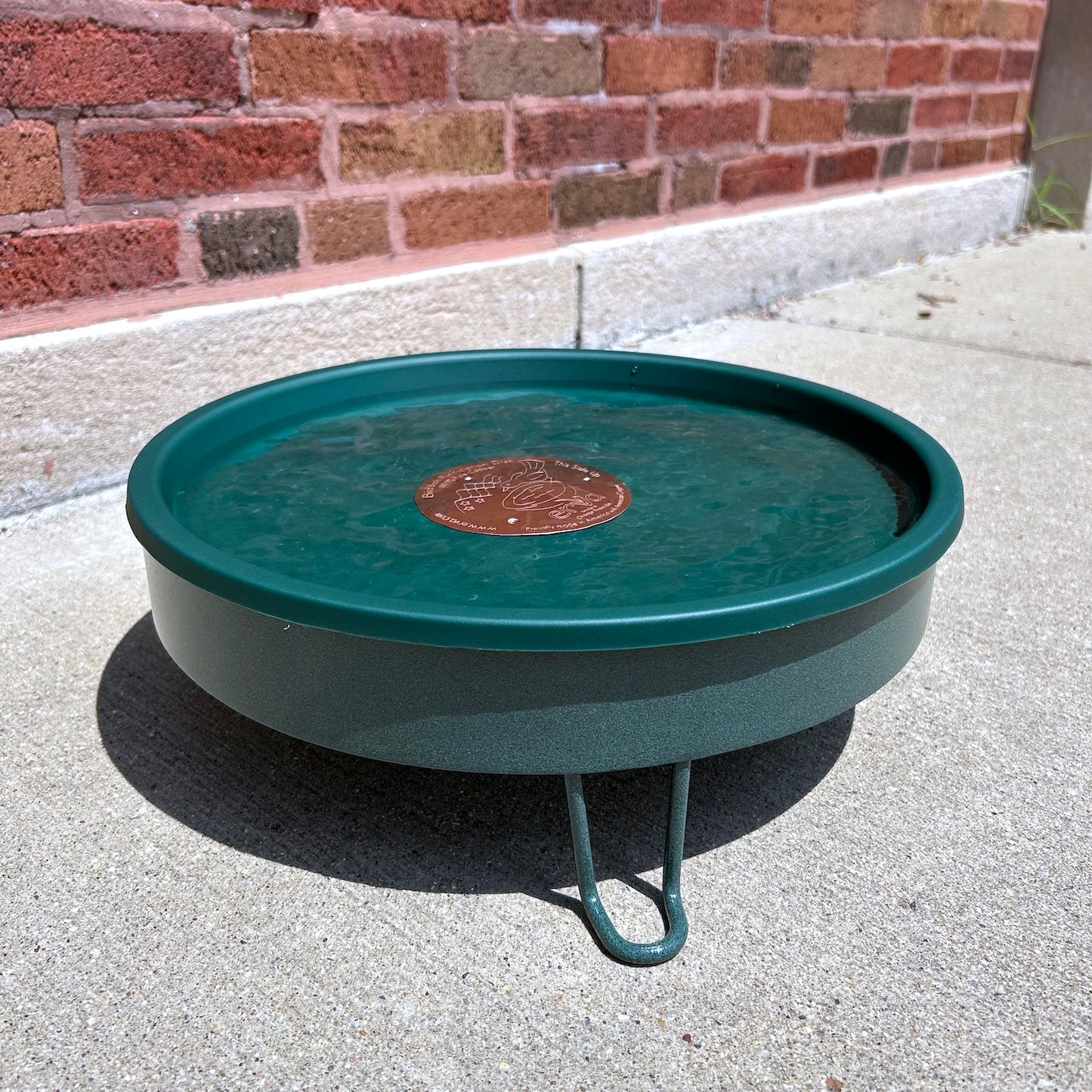 Ground Level Bird Bath