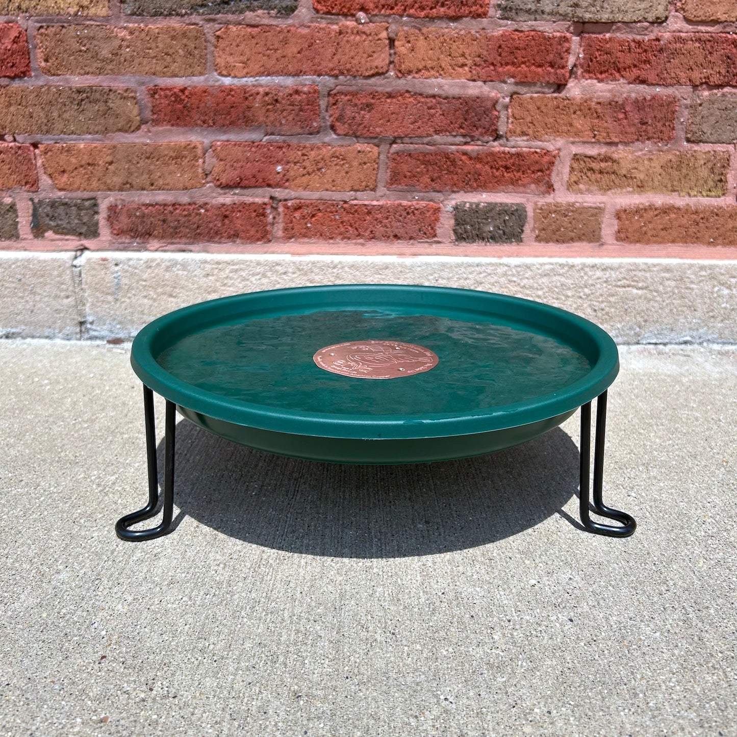 Ground Level Bird Bath