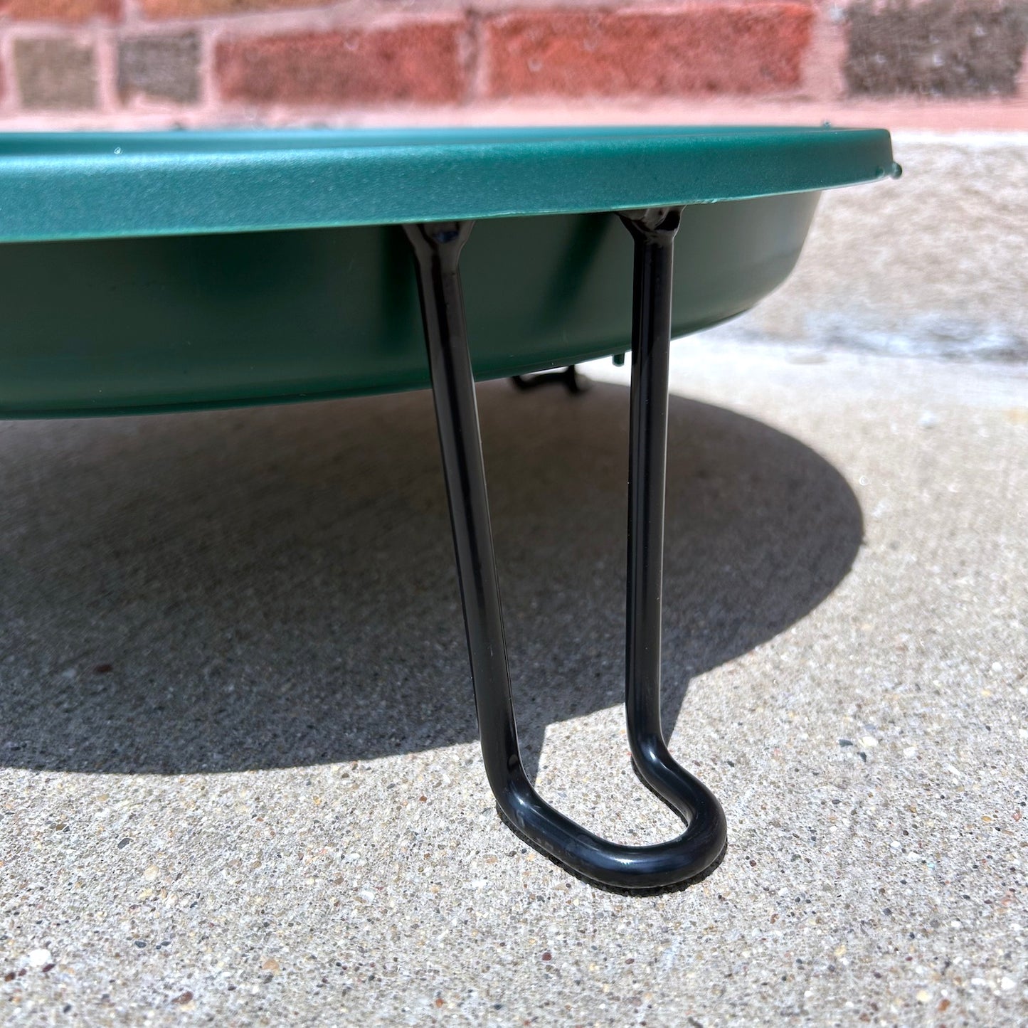 Ground Level Bird Bath