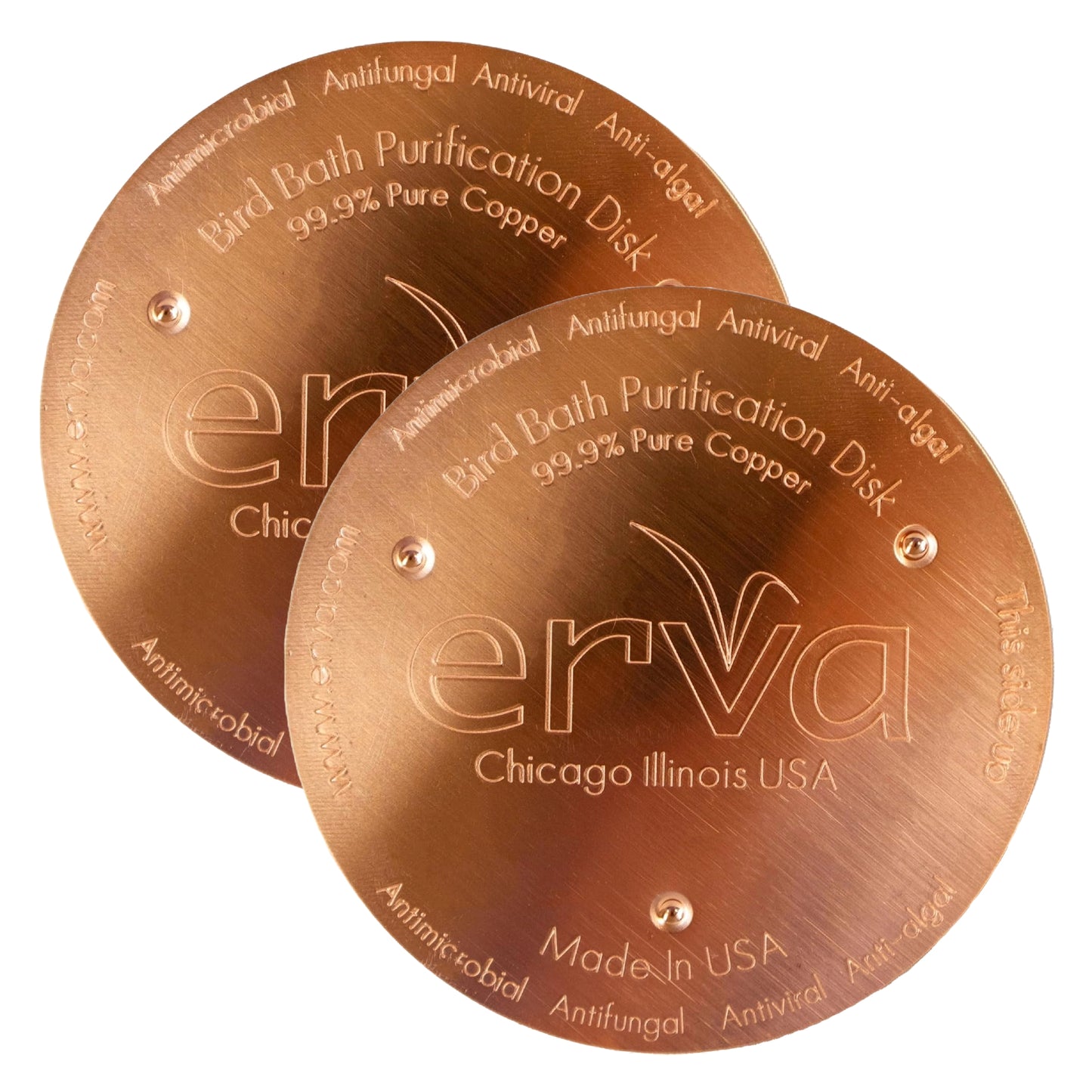 Bird Bath Purification Disk