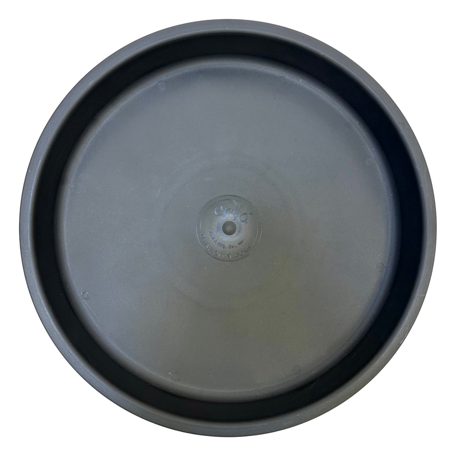 Bird Bath Dish