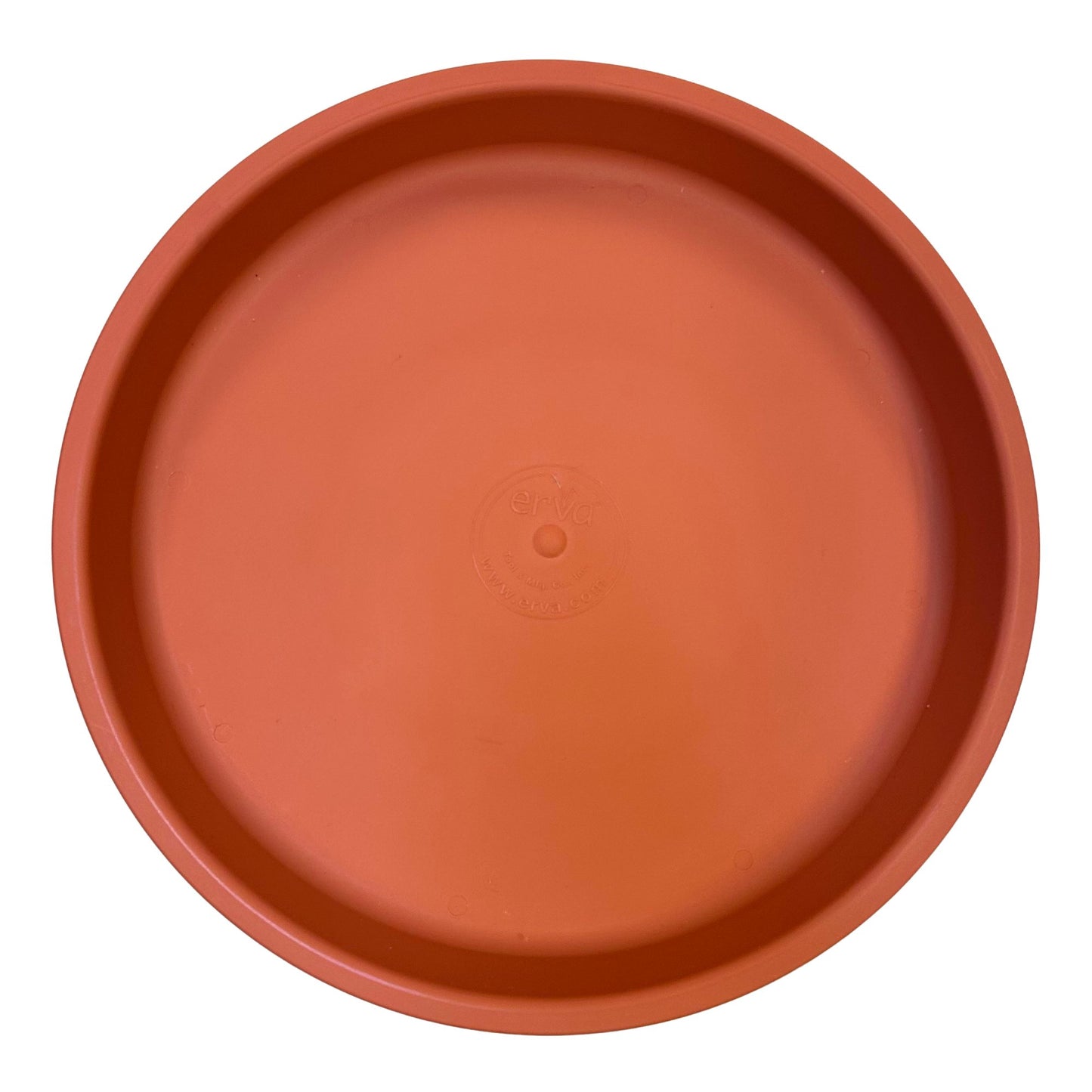 Bird Bath Dish