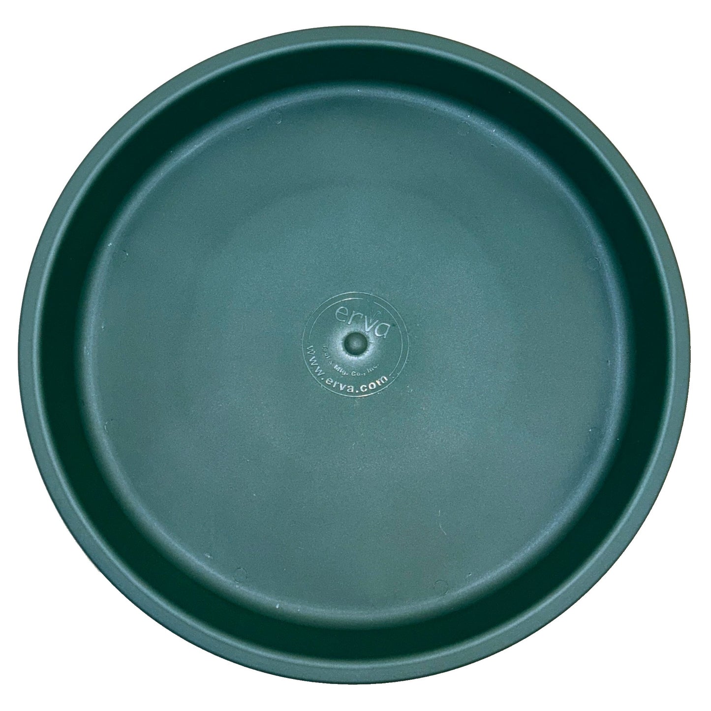 Bird Bath Dish