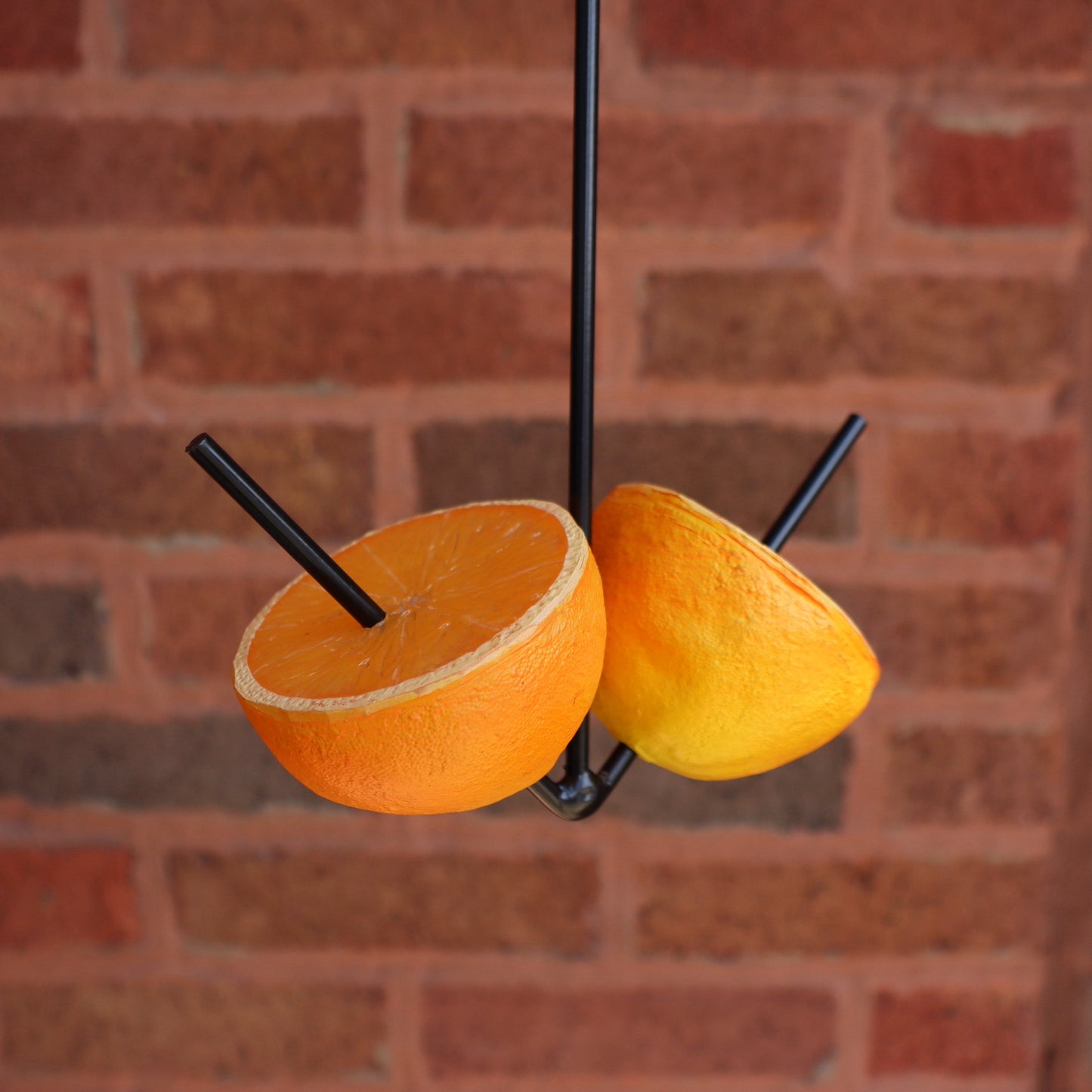 Fruit Feeder