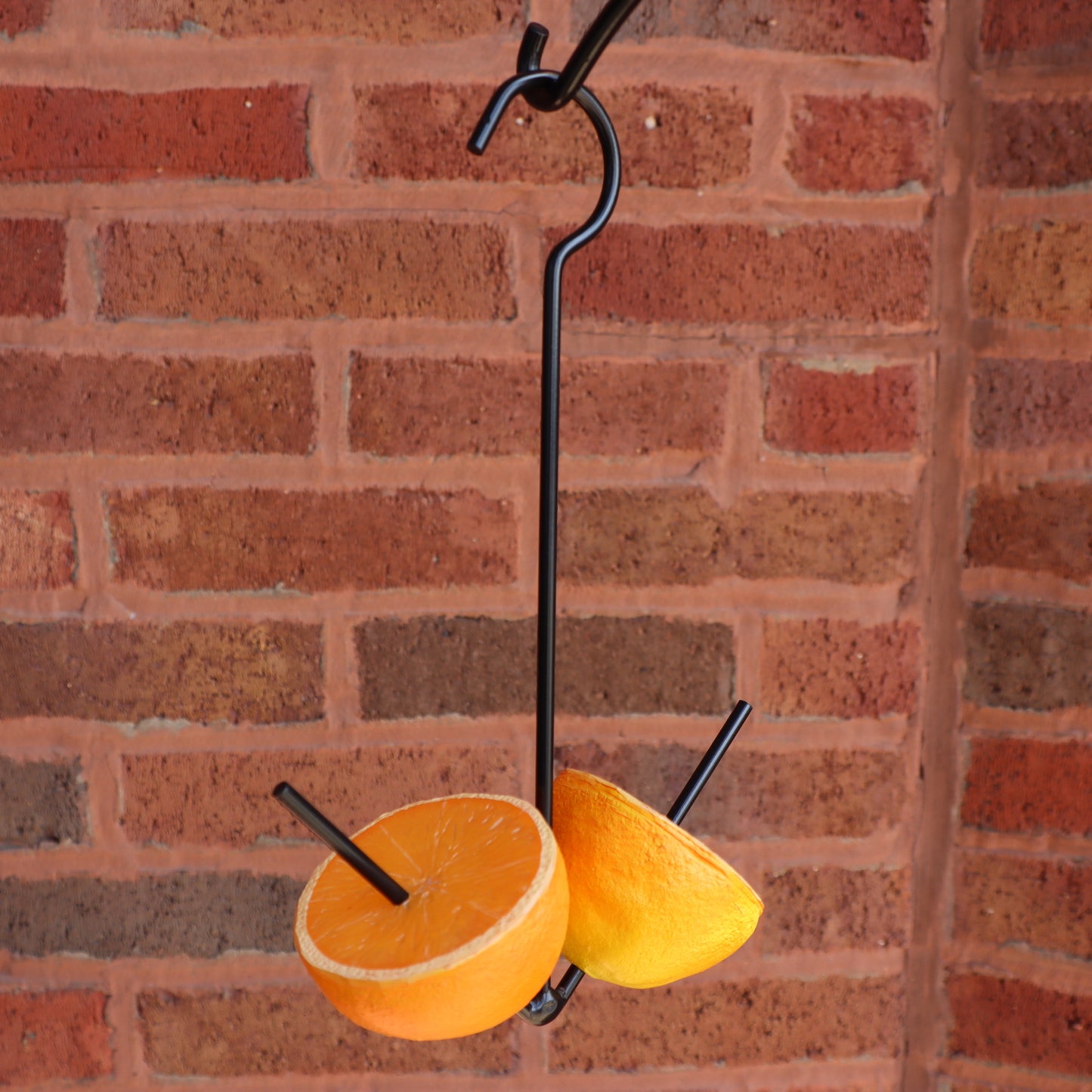Fruit Feeder