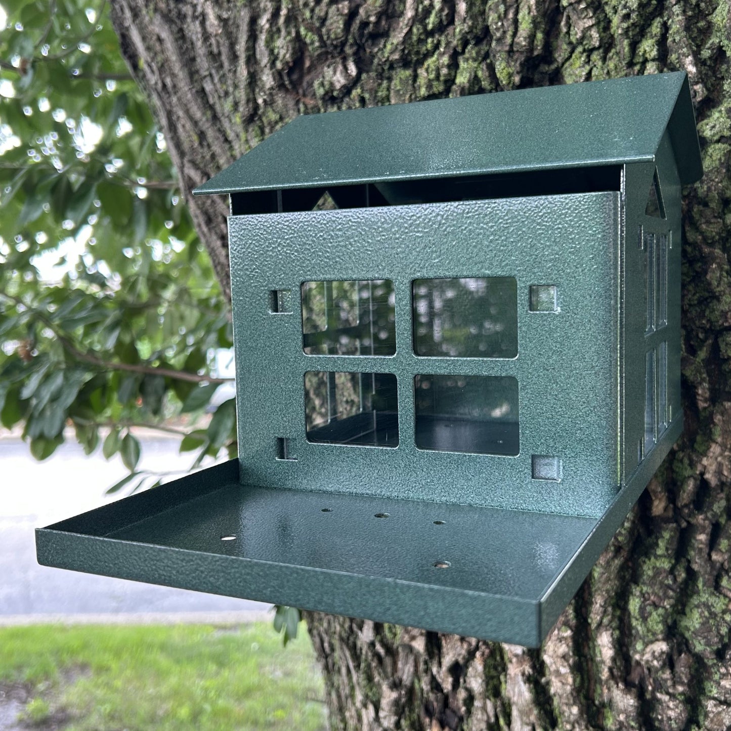 Squirrel Feeder