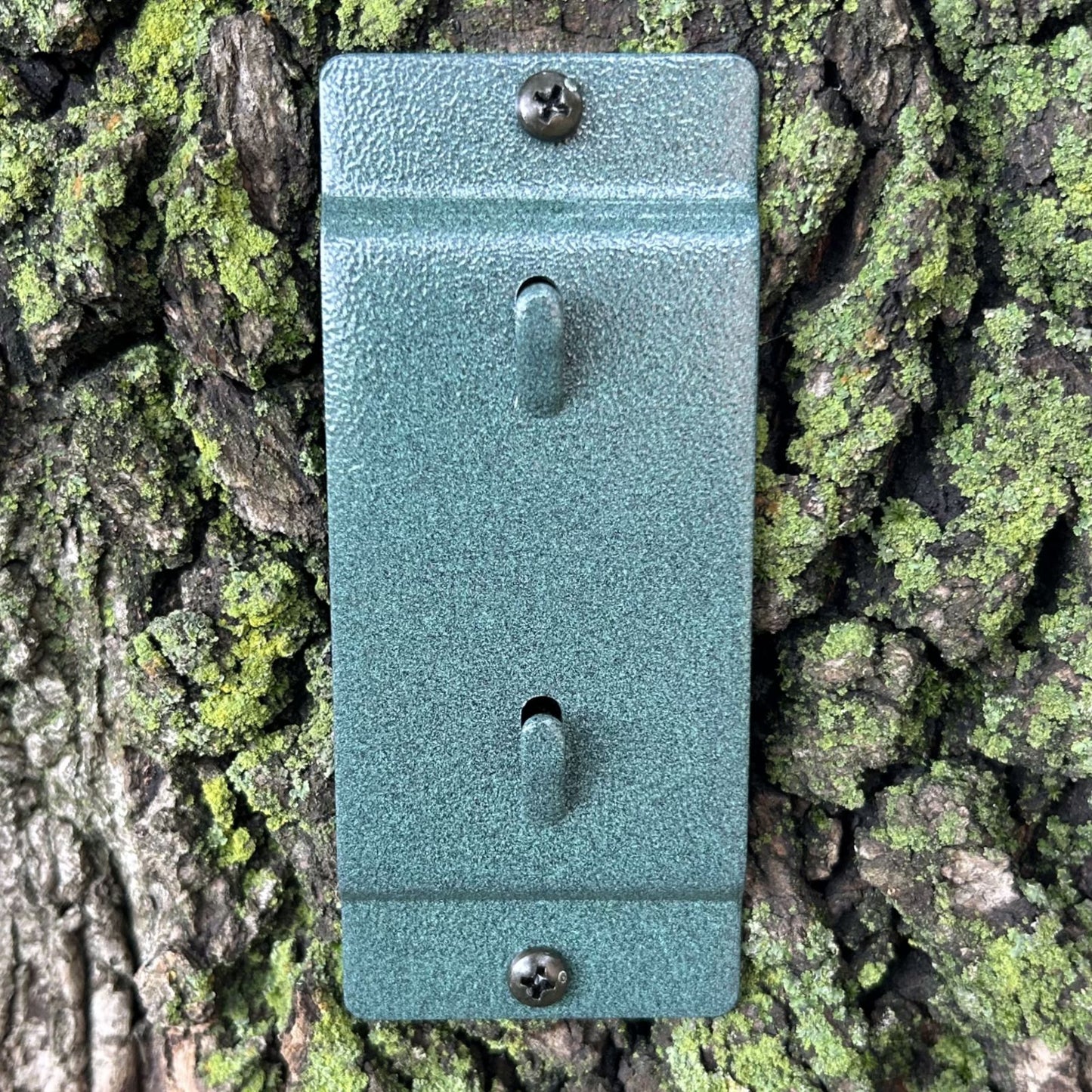 Squirrel Feeder