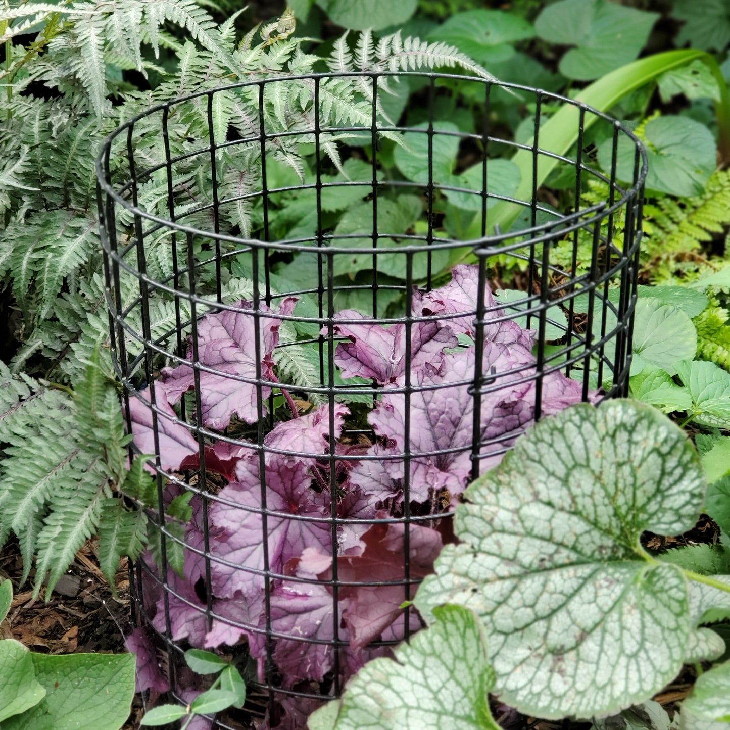Bunny Barricade