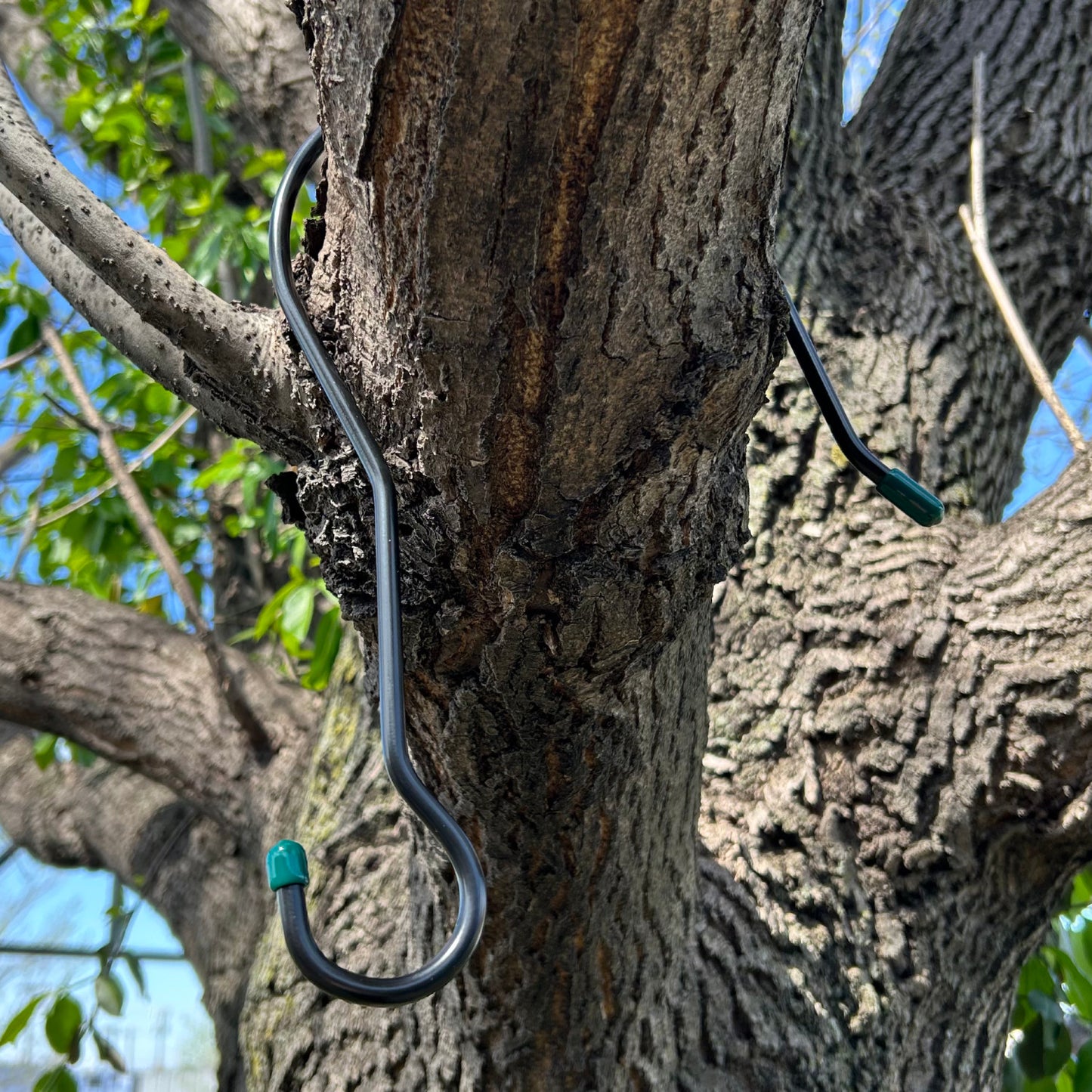 Branch Hook