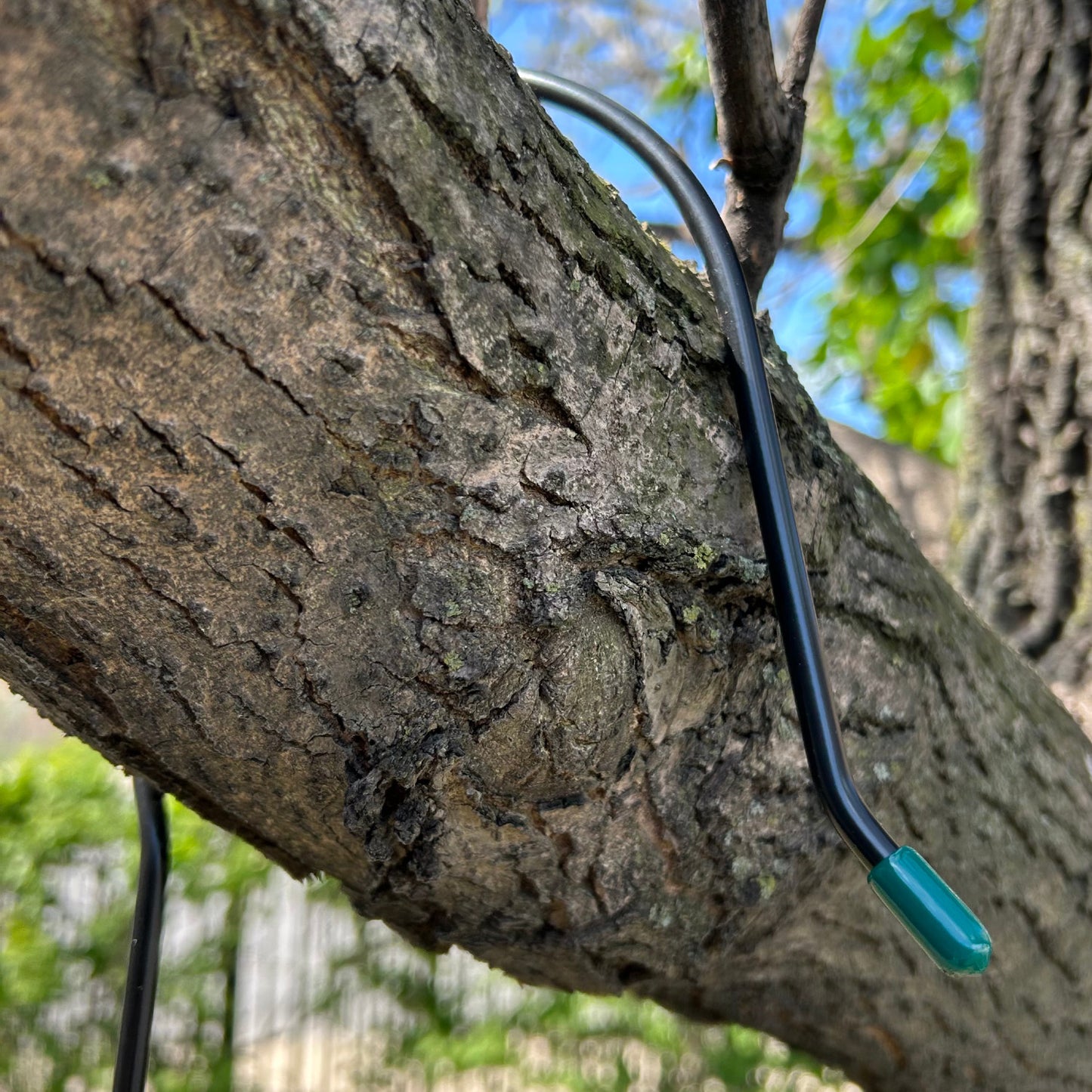Branch Hook