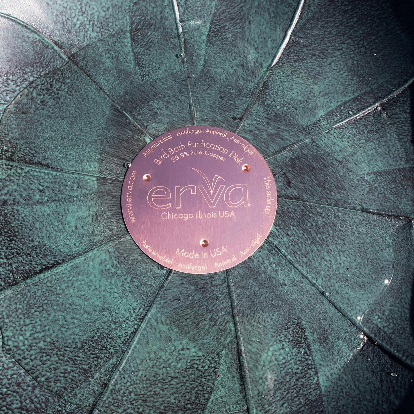 Bird Bath Purification Disk