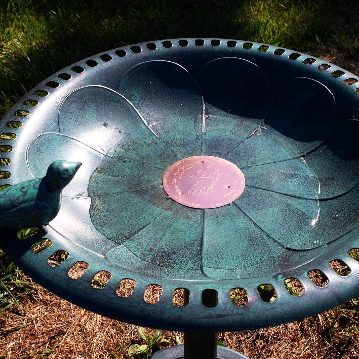 Bird Bath Purification Disk