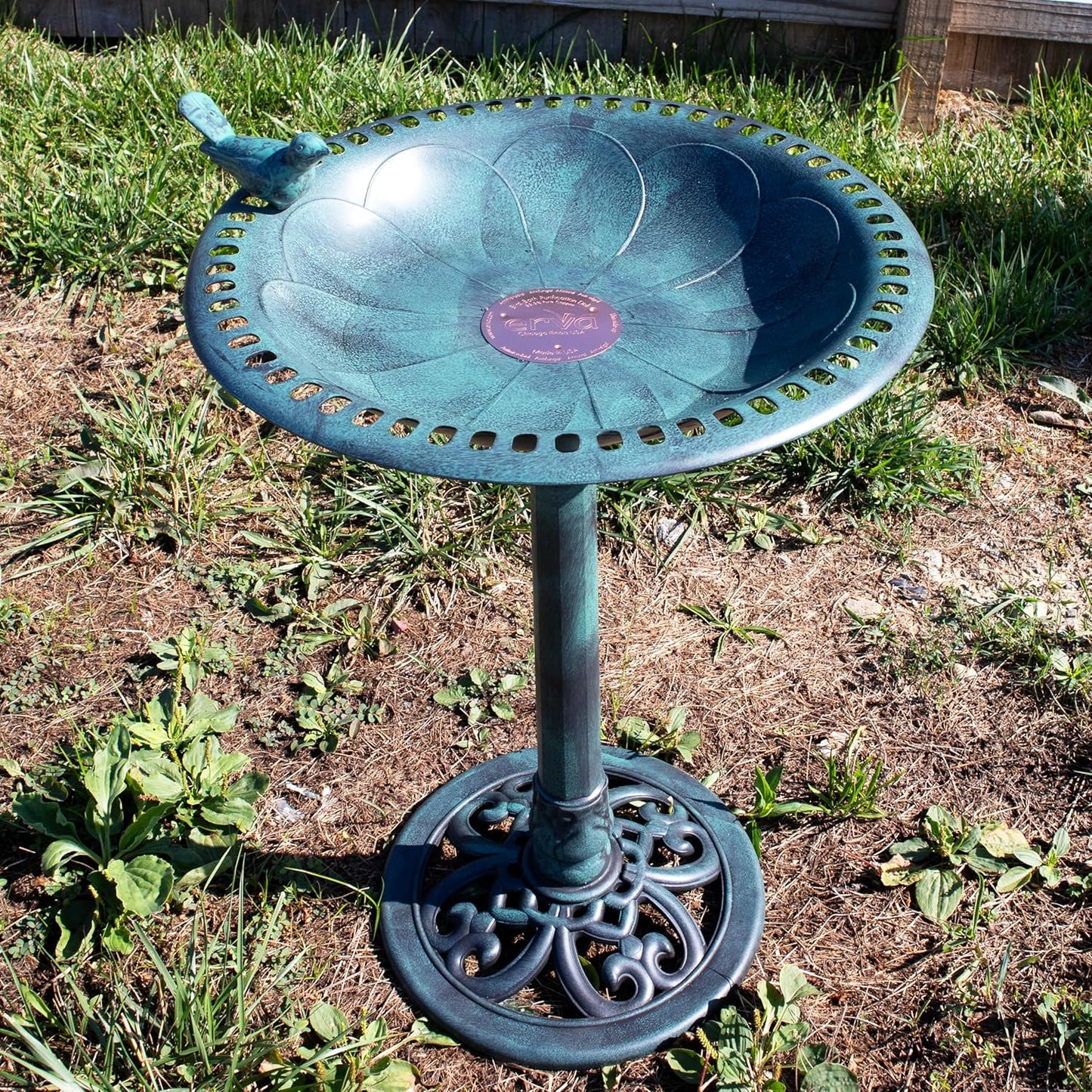 Bird Bath Purification Disk