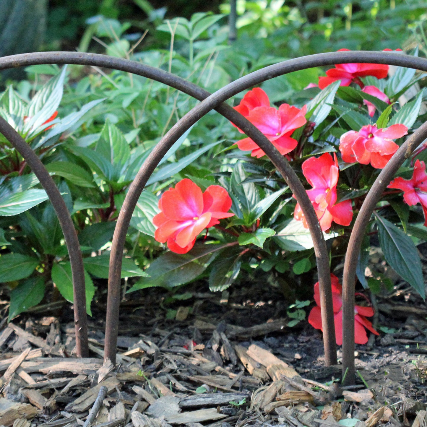 Garden Edging Hoops - 12 pack