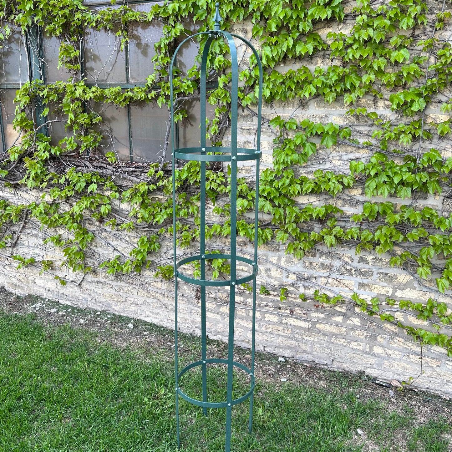 Large Garden Obelisk | Trellis for Climbing Plants
