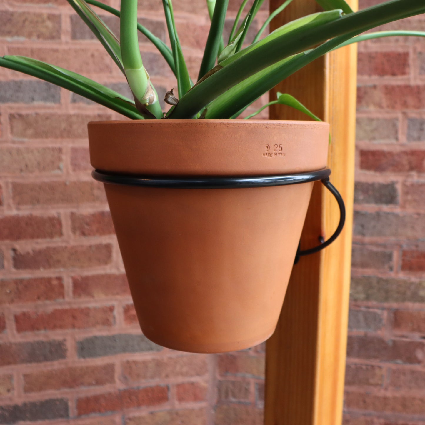 Pot Rings
