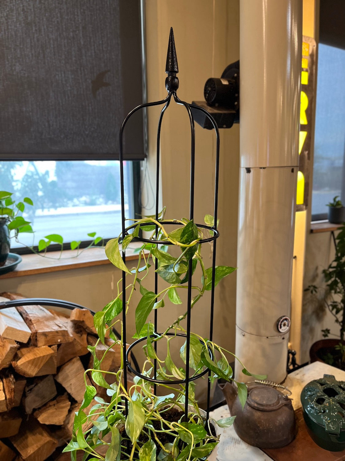 Garden Obelisk - Indoor/Outdoor Trellis