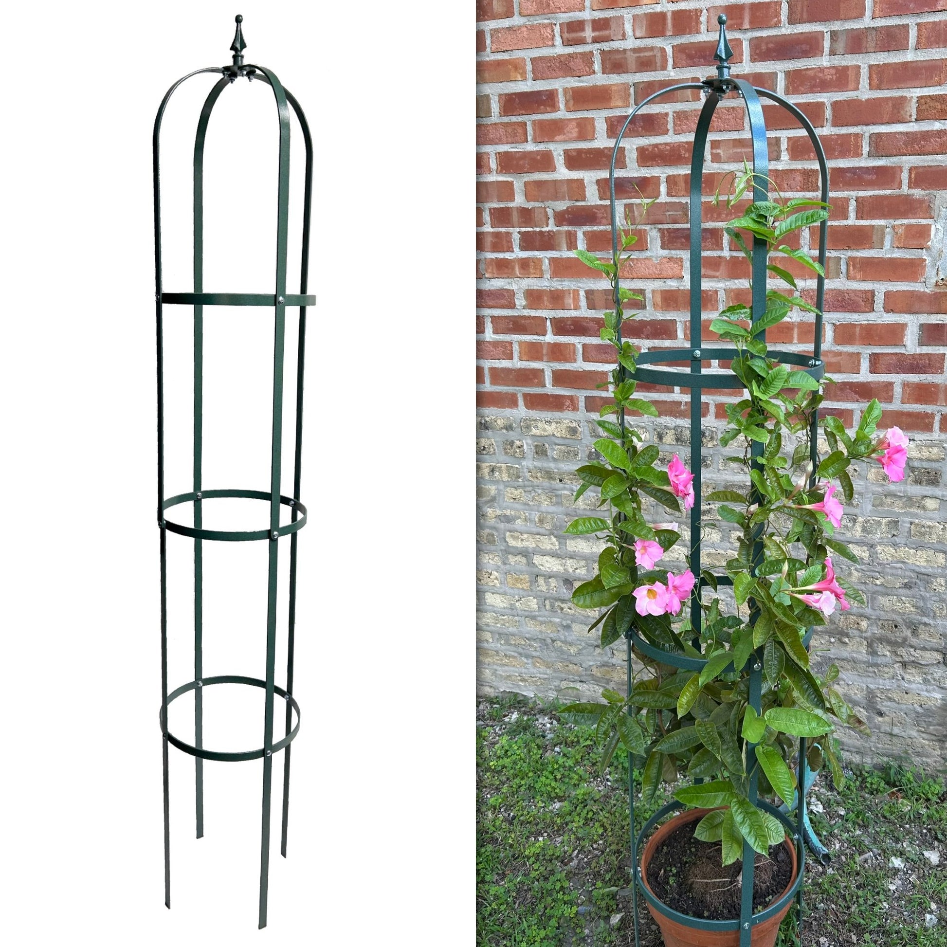 plant obelisk trellis Large Garden Obelisk | Trellis for Climbing Plants