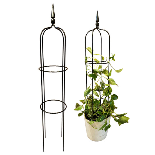 Garden Obelisk - Indoor/Outdoor Trellis