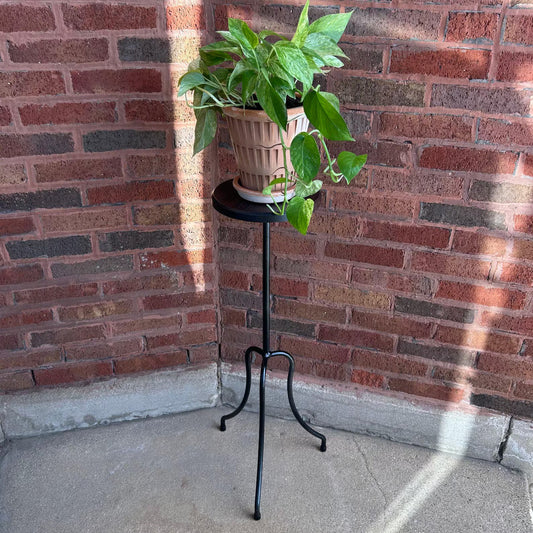Plant Stand