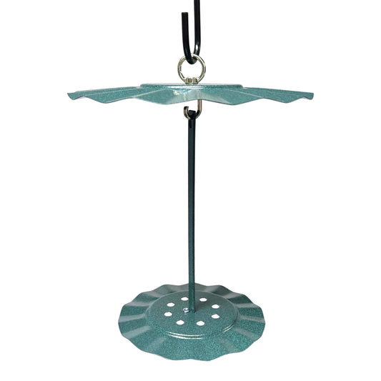 Seed Cylinder Feeder